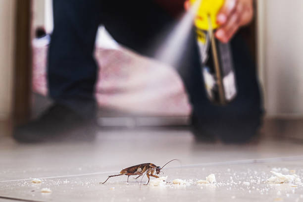 Best Wasp Removal Services  in Neshanic Station, NJ